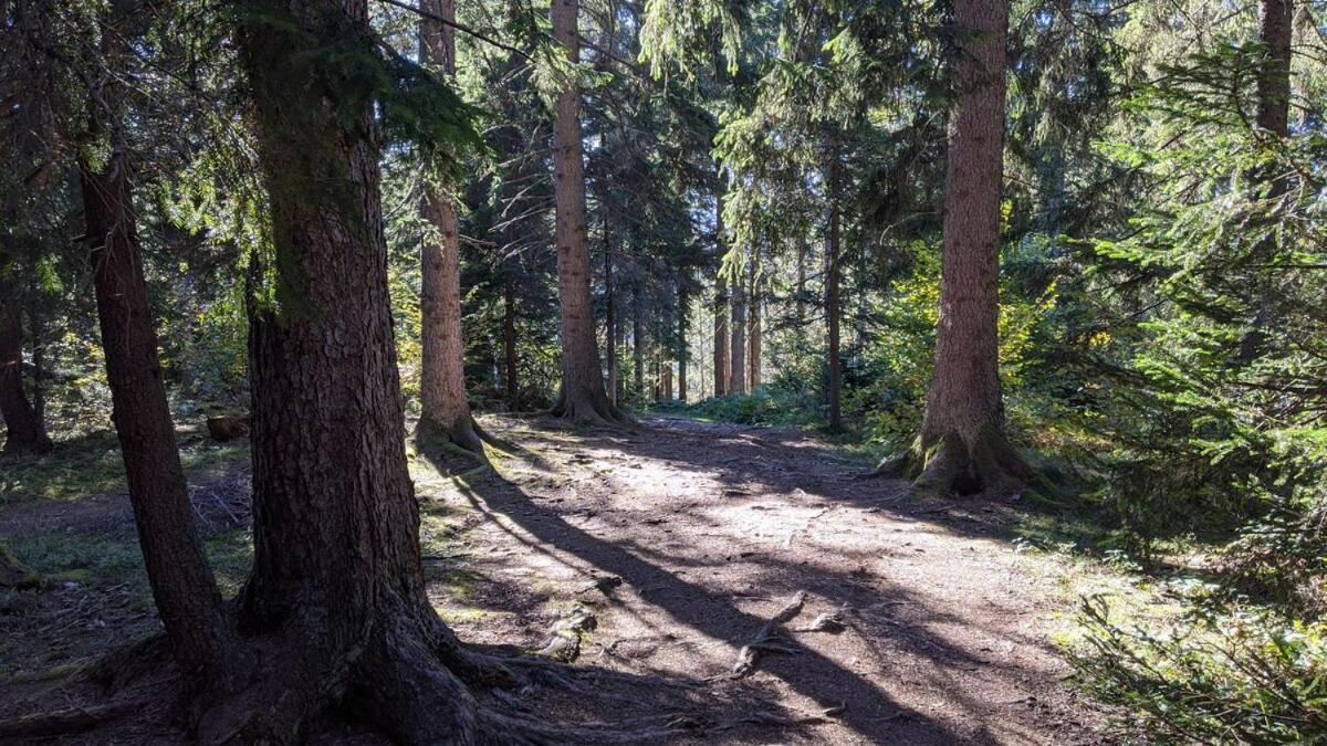 Konak Vuk Nova Varoš Exteriör bild